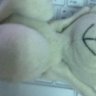 ks04223ks04223
